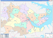 New Bern Metro Area Wall Map Color Cast Style